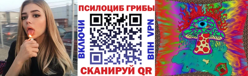 Купить закладки  Петровск  Псилоцибиновые грибы MAGIC MUSHROOMS 